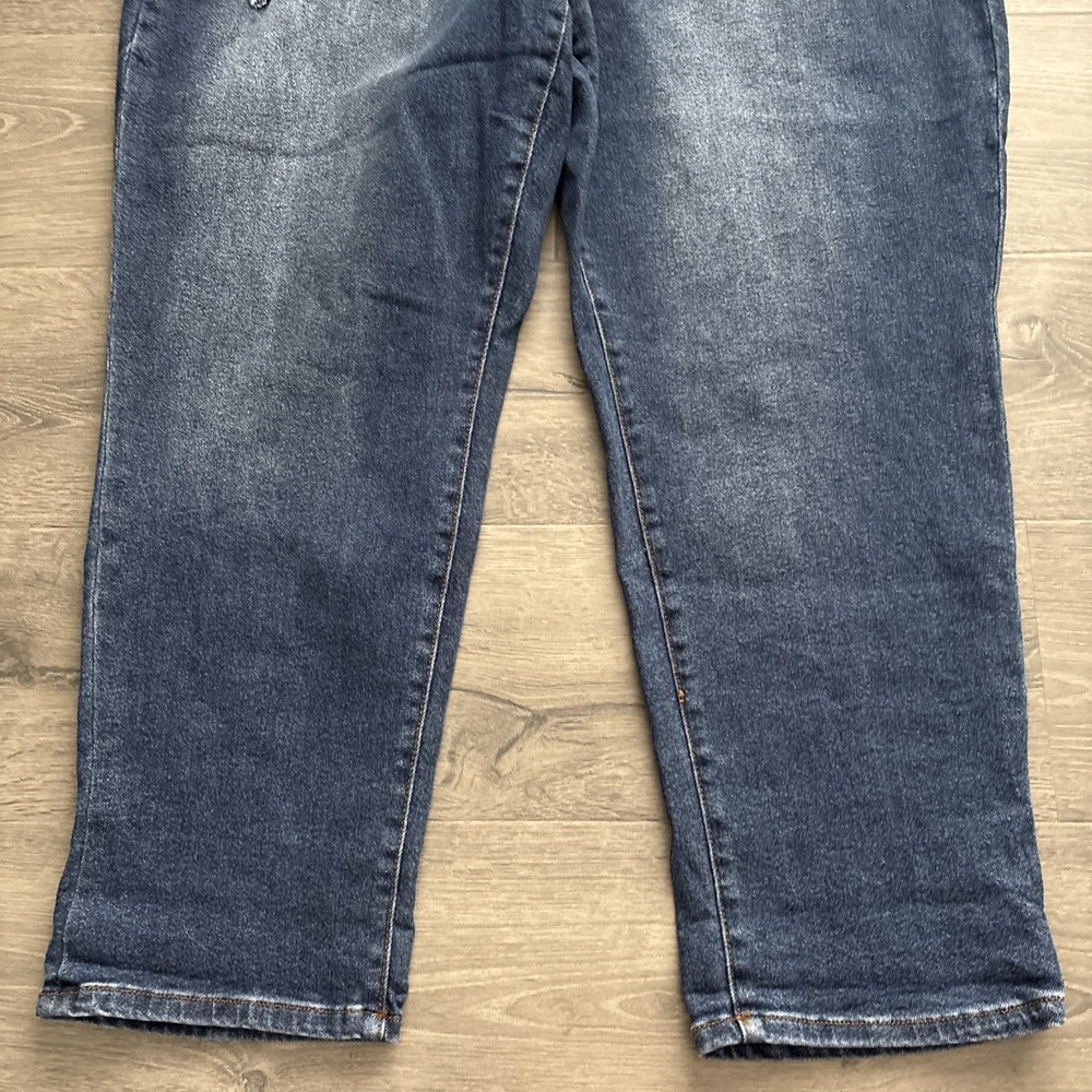 Molly & Isadora Girlfriend High Rise Jeans Womens Plus size 26W Distressed - Picture 3 of 13